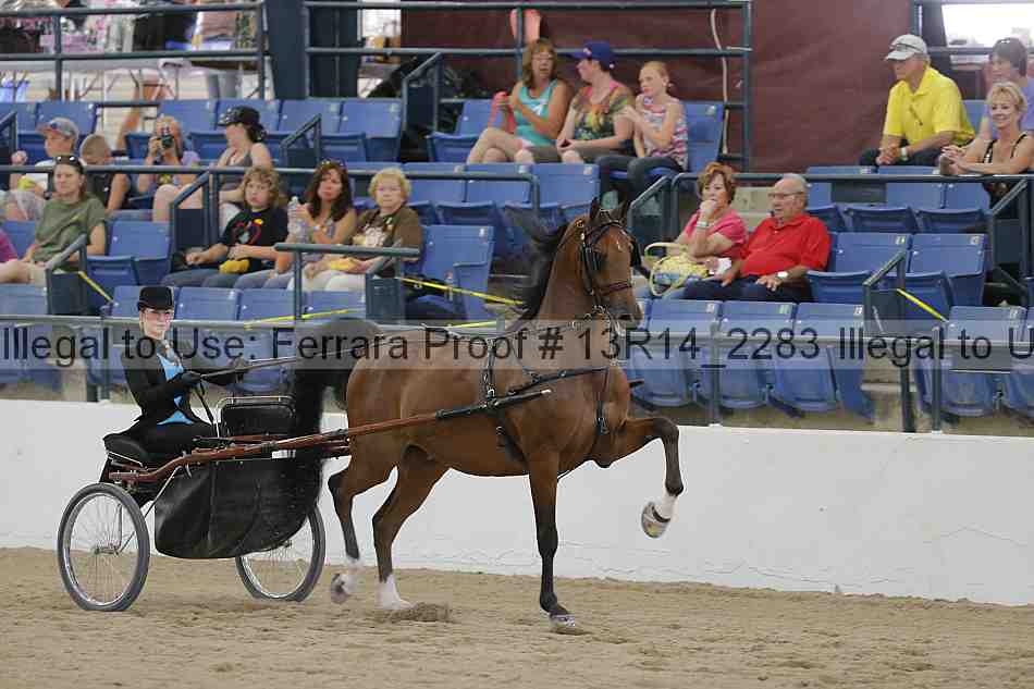 Proof 13r14_2283