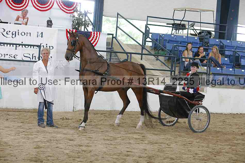 Proof 13r14_2285