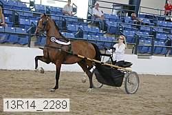 13r14_2289 proof