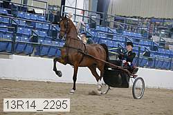 13r14_2295 proof