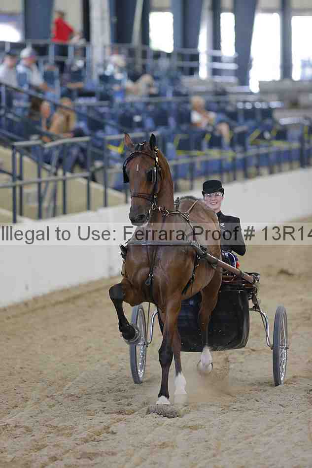 Proof 13r14_2298