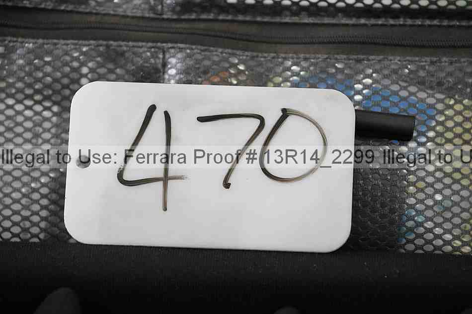 Proof 13r14_2299