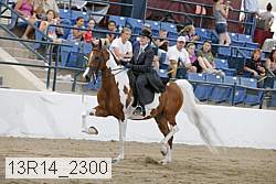 13r14_2300 proof