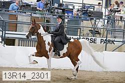 13r14_2301 proof