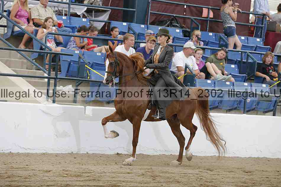Proof 13r14_2302