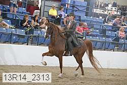 13r14_2313 proof