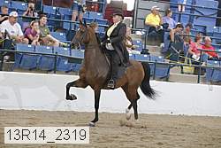 13r14_2319 proof