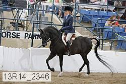 13r14_2346 proof
