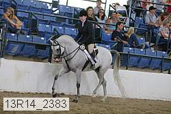 13r14_2383 proof