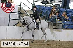 13r14_2384 proof