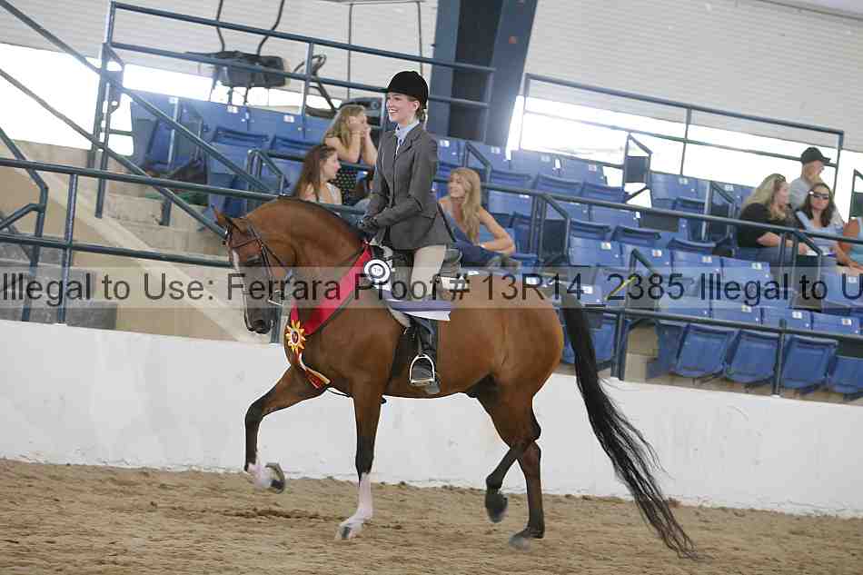 Proof 13r14_2385