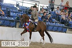 13r14_2389 proof