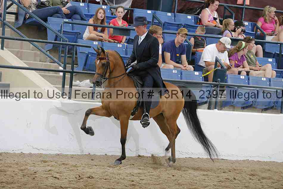 Proof 13r14_2397