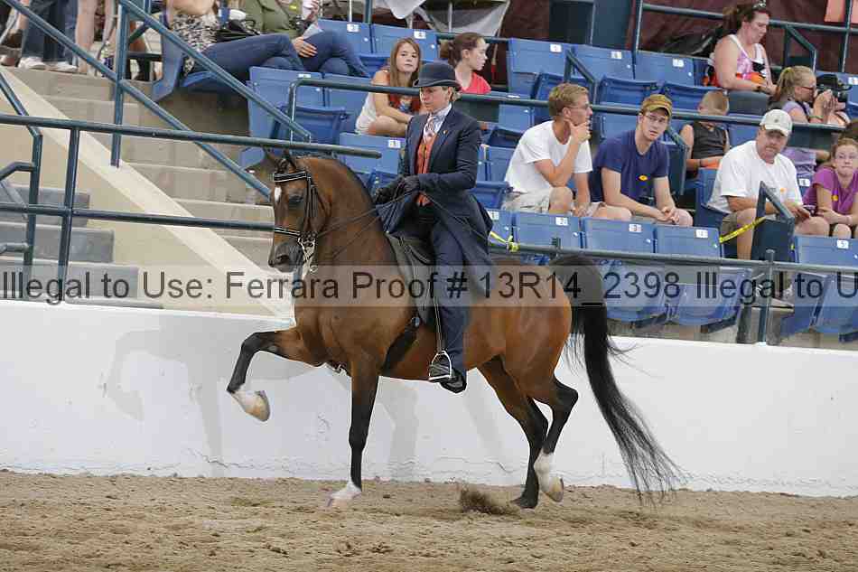 Proof 13r14_2398