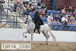 13r14_2399 proof
