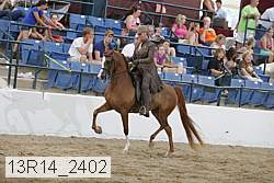 13r14_2402 proof