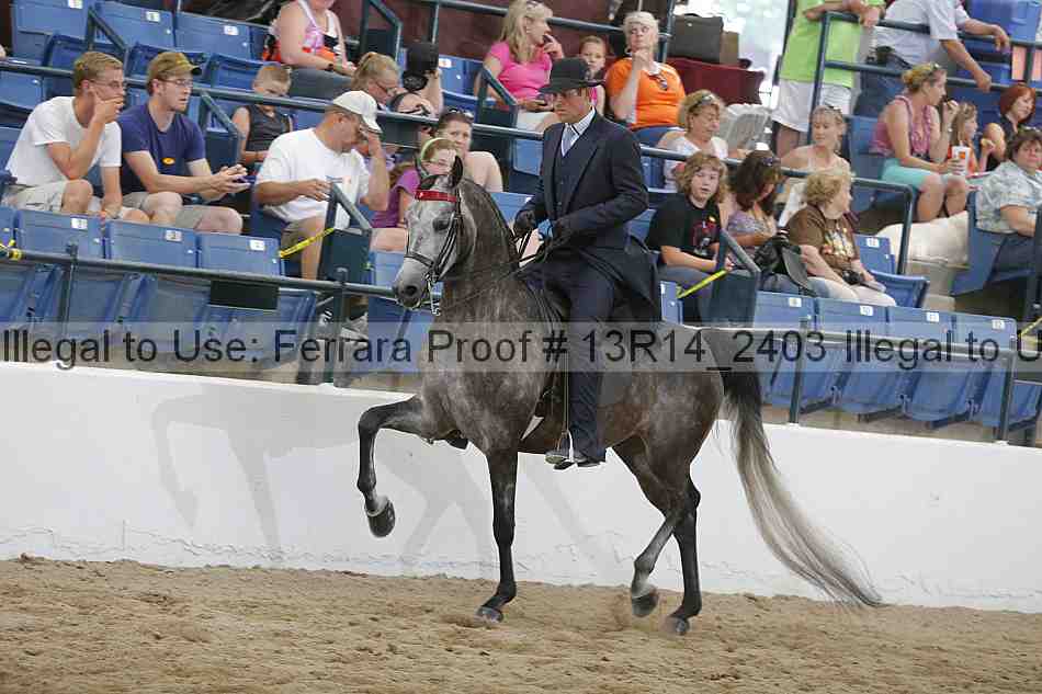 Proof 13r14_2403