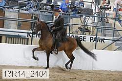 13r14_2404 proof