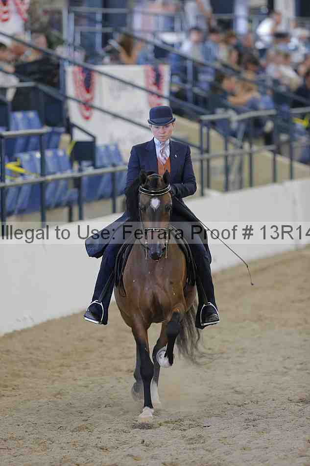Proof 13r14_2407