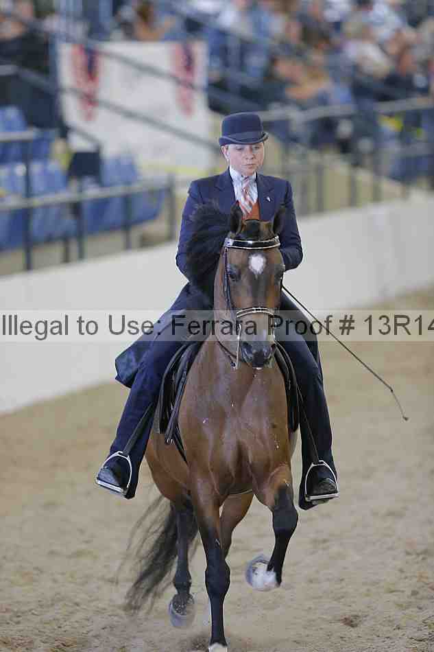 Proof 13r14_2408