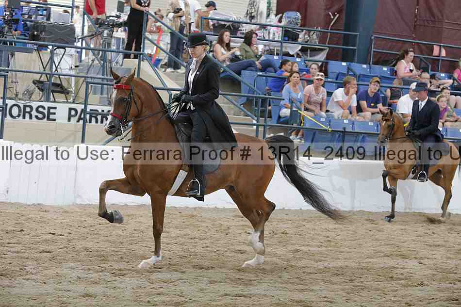 Proof 13r14_2409
