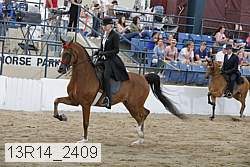 13r14_2409 proof
