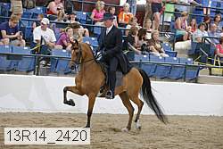 13r14_2420 proof