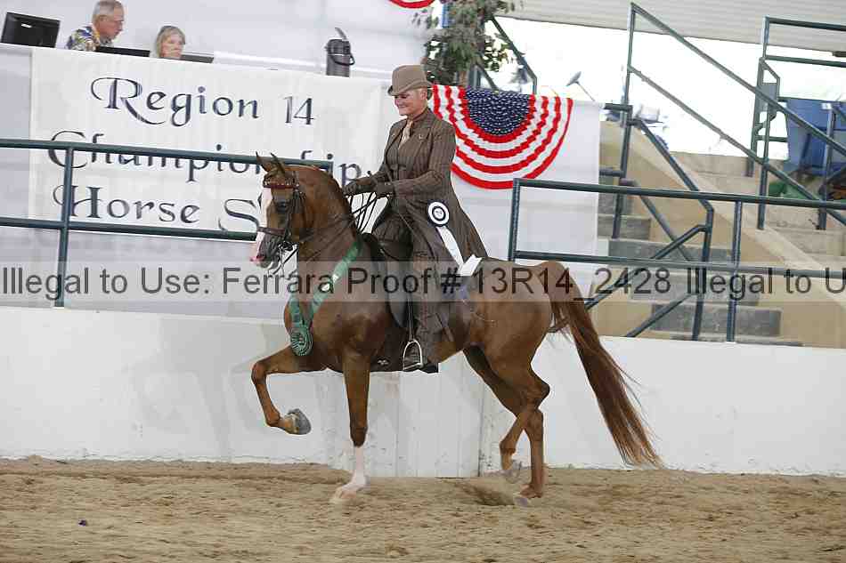 Proof 13r14_2428