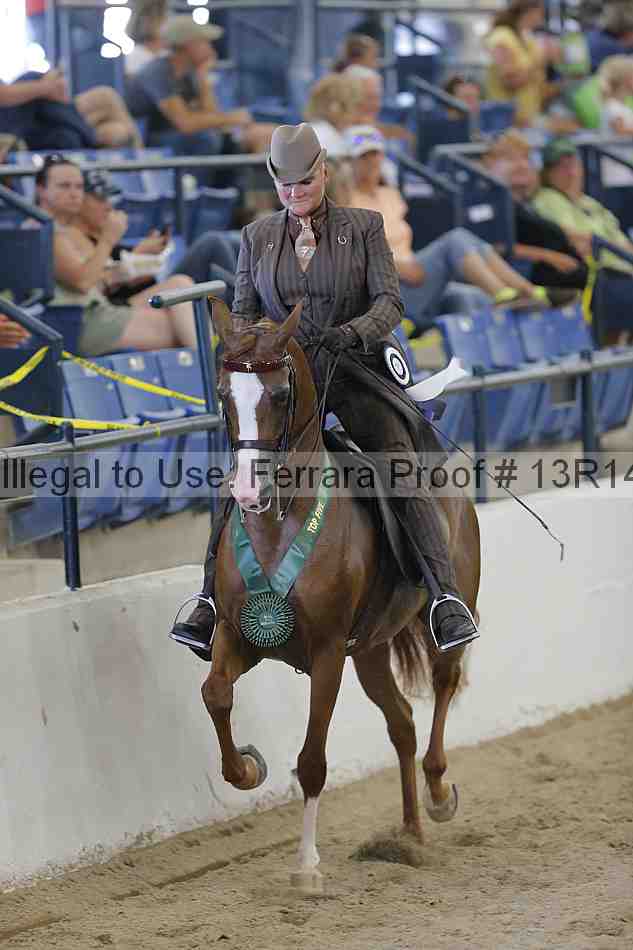 Proof 13r14_2433
