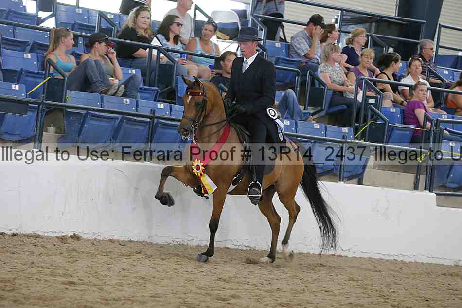 Proof 13r14_2437