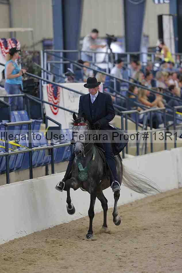 Proof 13r14_2441