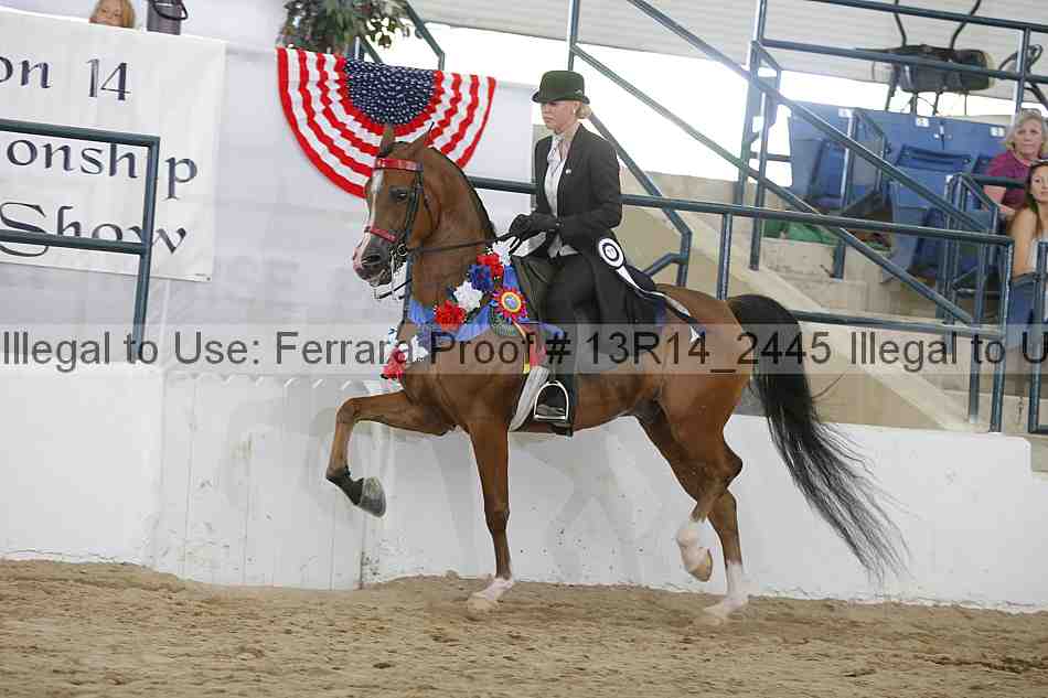 Proof 13r14_2445
