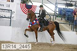 13r14_2445 proof