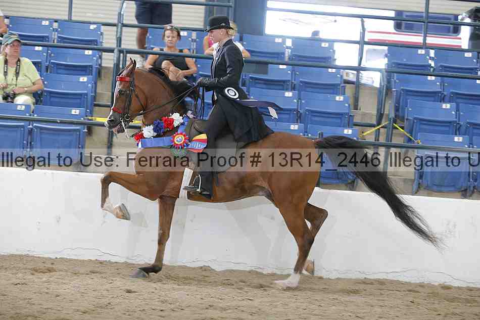 Proof 13r14_2446