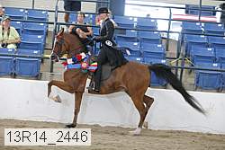 13r14_2446 proof