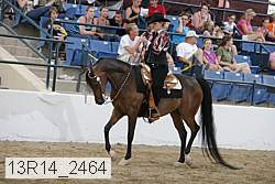 13r14_2464 proof