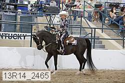 13r14_2465 proof