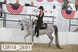 13r14_2491 proof