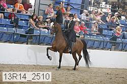 13r14_2510 proof