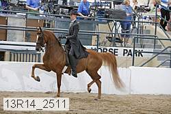 13r14_2511 proof