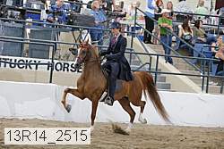 13r14_2515 proof