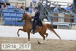 13r14_2517 proof