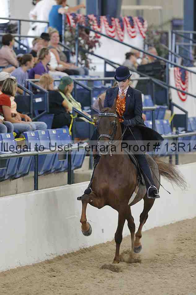 Proof 13r14_2522