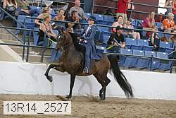 13r14_2527 proof