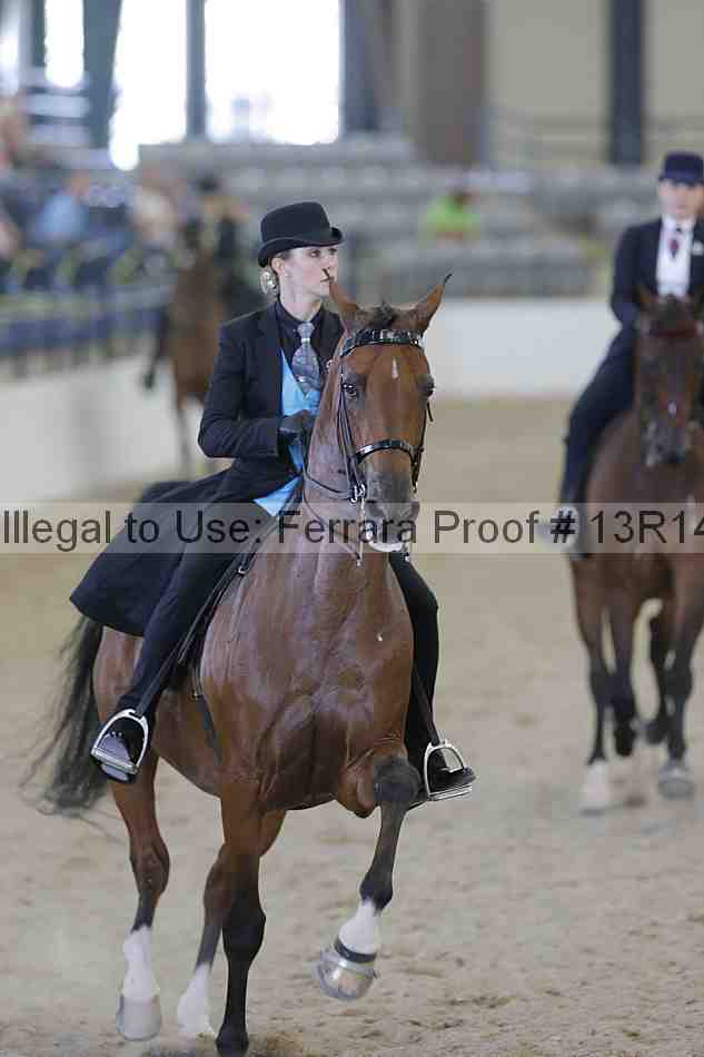 Proof 13r14_2528