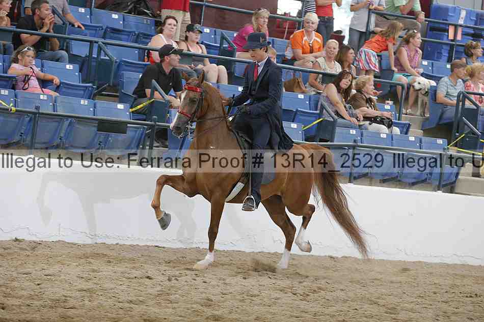 Proof 13r14_2529