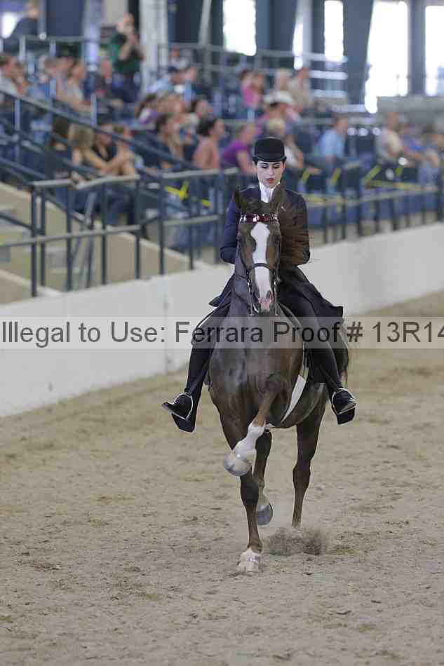 Proof 13r14_2532