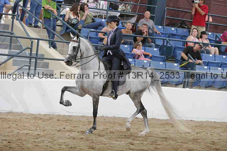 Proof 13r14_2533