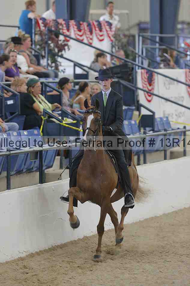 Proof 13r14_2534