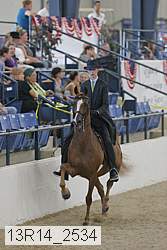 13r14_2534 proof